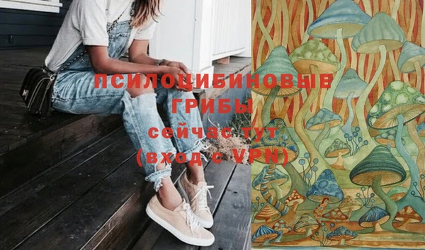 прущая мука Абаза