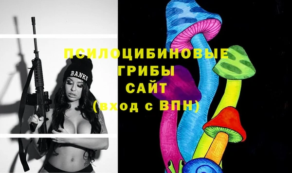 прущая мука Абаза